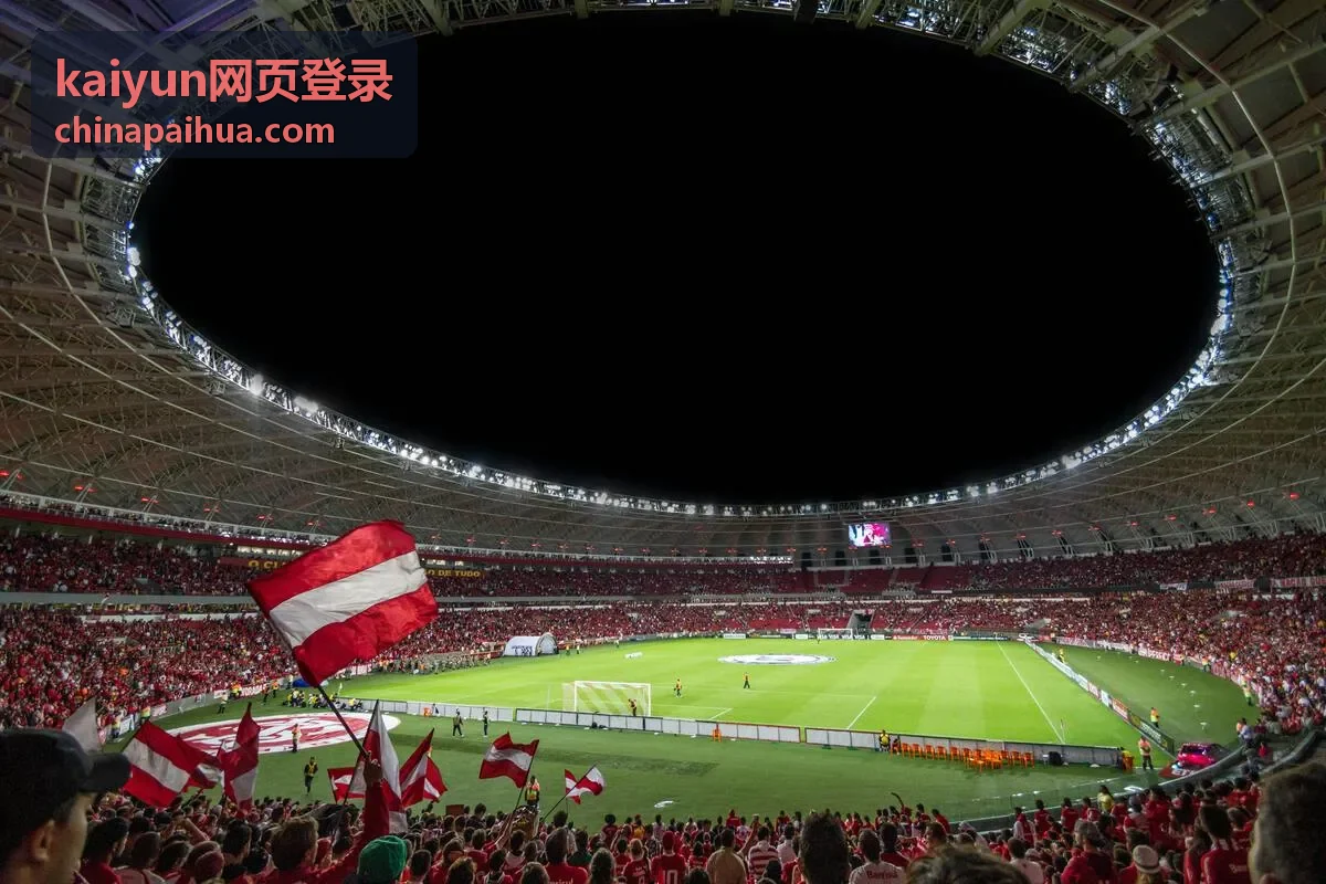 kaiyun网页登录会员等级与权益说明展示图