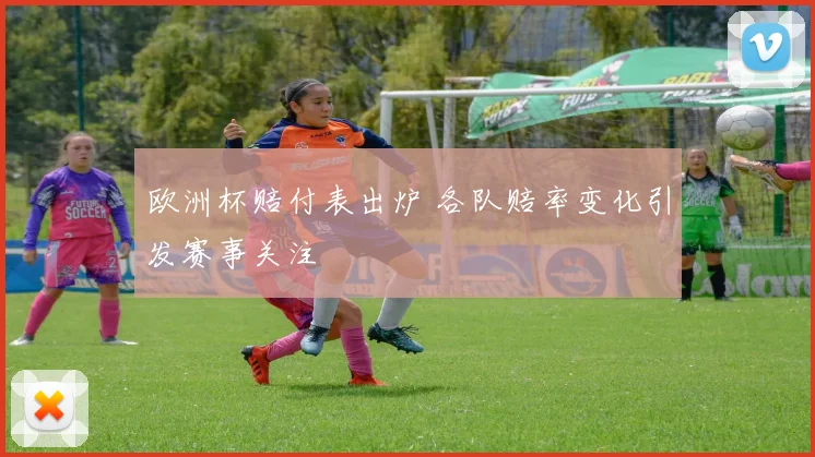 欧洲杯赔付表出炉 各队赔率变化引发赛事关注
