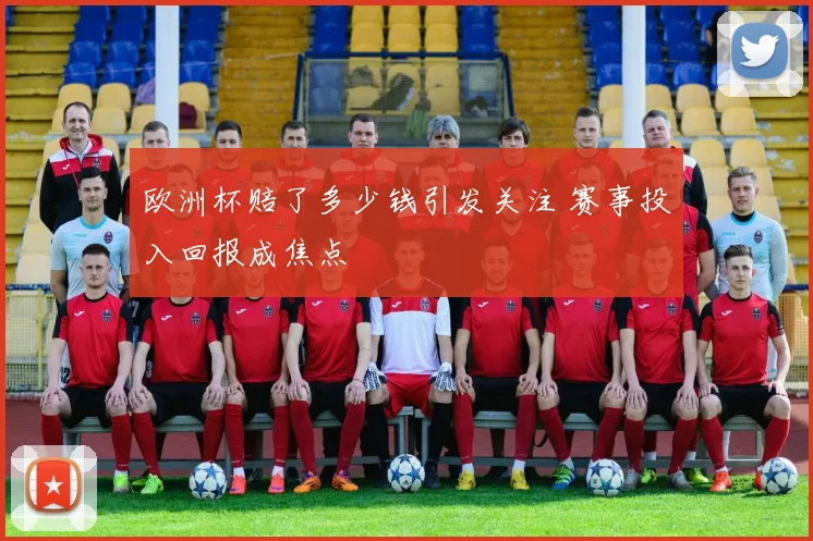欧洲杯赔了多少钱引发关注 赛事投入回报成焦点