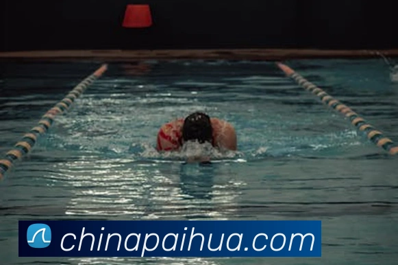 kaiyun官方平台平台生态图